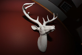 Deer Head