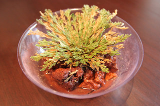 Dinosaur Plant the next morning