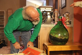 Christmas - Plants in a vase