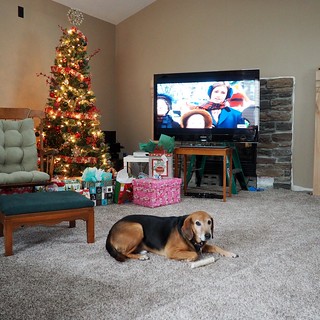 Christmas - Garth's havin a good time