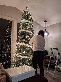 Hangin those ornaments