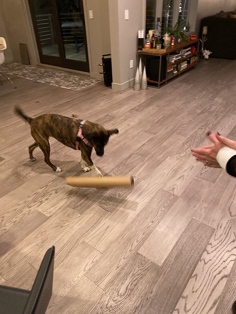 Gemma likes these tubes