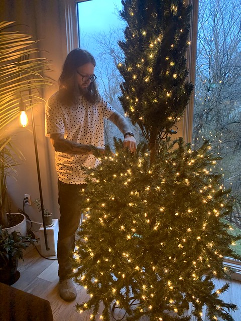 Puttin up that tree