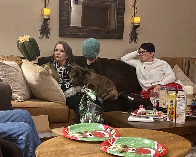 Look at these cactuses