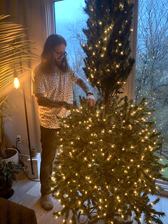 Puttin up that tree