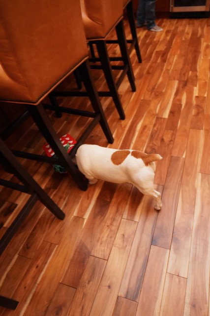 Jaxon opening presents