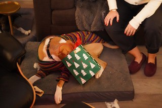 Christmas - Durby's turn