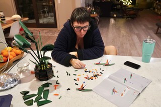 Building bird of paradise flowers