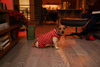 Look at this fancy boy