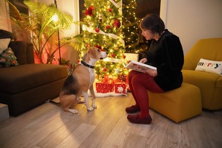 Christmas - Christmas Eve advent calendar time