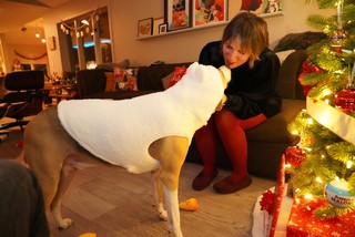 Dress Up - This is getting a little ridiculous...