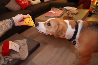 pizza - Durby's pizza box had some happy lil pizzas in it