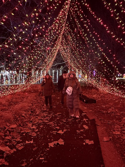 Walking through the lights