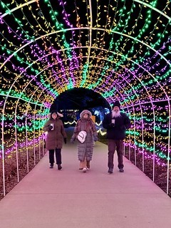 Walking through the lights