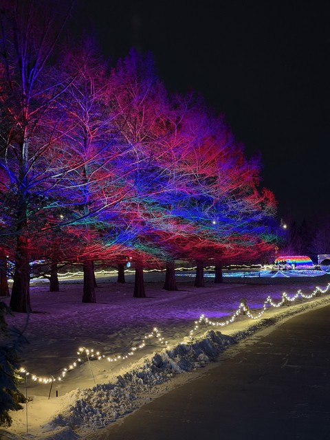 Dormant trees come to life