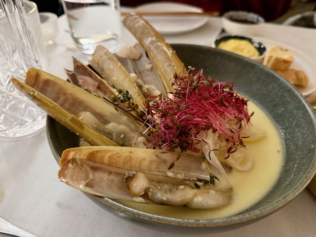 Jackknife Razor clams