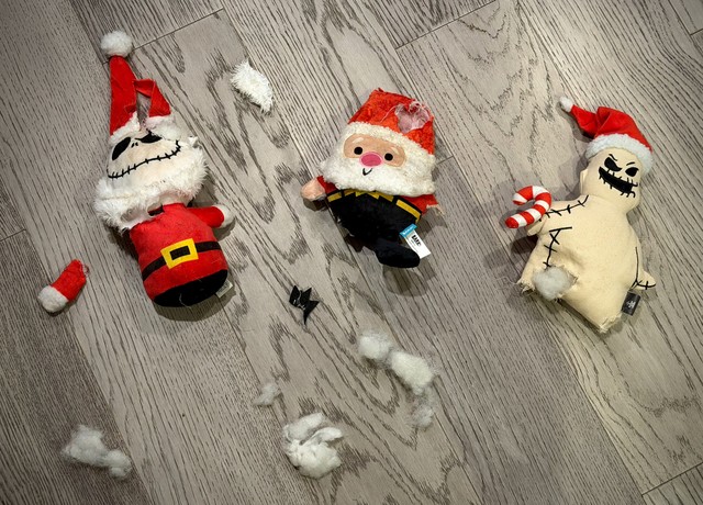 Durby has had a nice Christmas