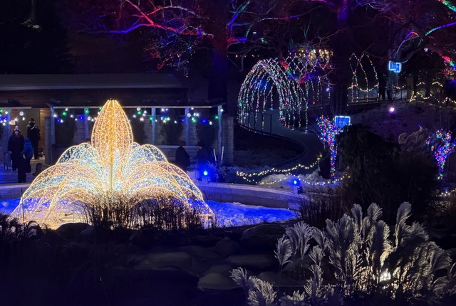 Lookin out at Reiman Gardens