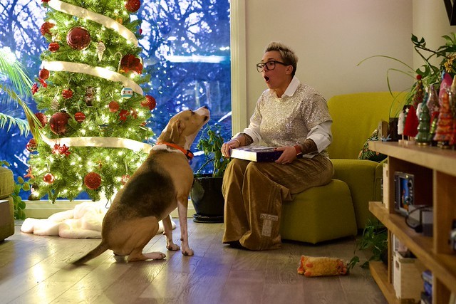 Sassy boy wants his advent calendar treat