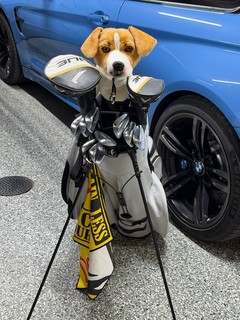 Golf - This is ridiculous