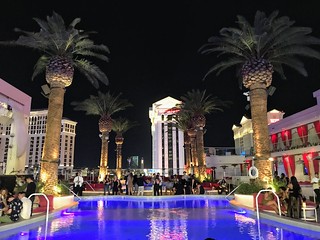 Looking out from the back of Drai's