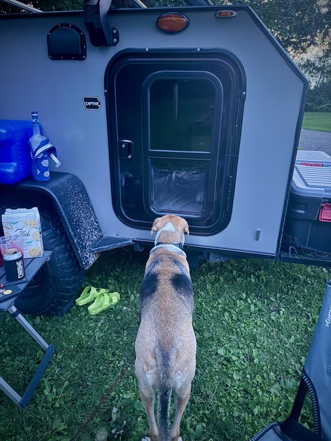 Durby is ready for bed