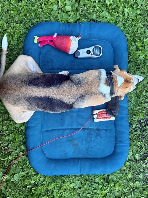 That's one way to do it...