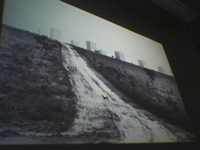 A photo I liked in a presentation