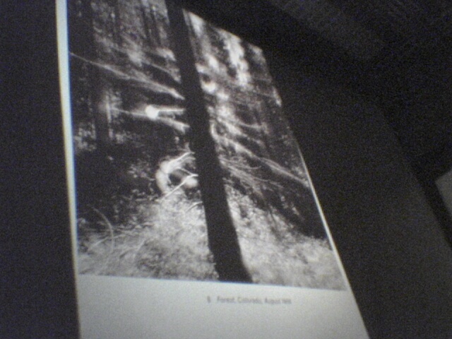 A photo I liked in a presentation