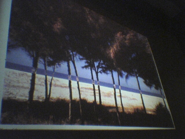 A photo I liked in a presentation