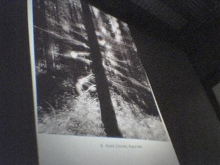 Art - A photo I liked in a presentation