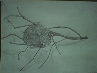 Art - My attempt at drawing a nest