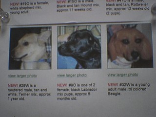 Click the piece of paper to View Larger Photo