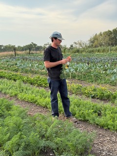 Checkin out the carrots