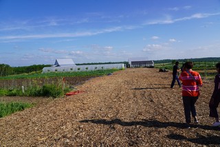 I thought I had a lot of mulch. Holy cow.
