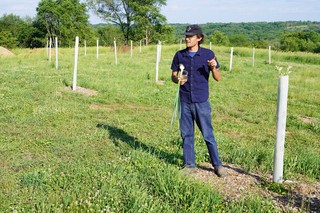 Talkin about the deer while the orchard gets established