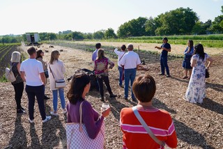 Learning about their organic rotation process with chickens