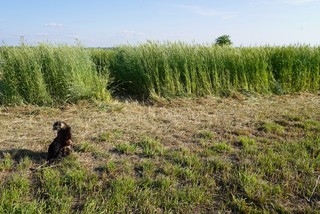 The entrance to where we were going to eat