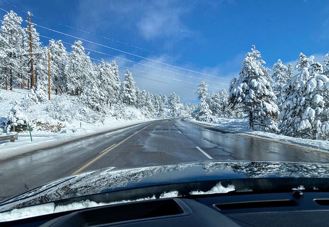 The amount of snow on the trees was v pretty and looked fake