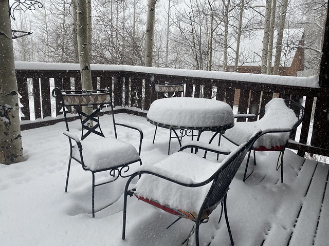 Woke up to 8" of snow on the ground