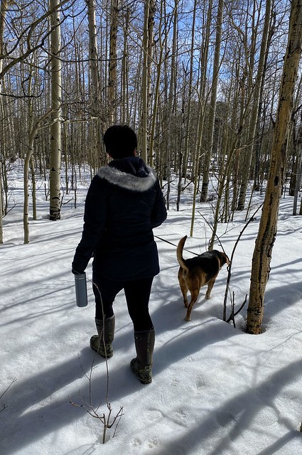 Hikin through the trees