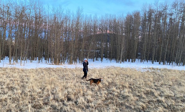 Explorin the neighborhood