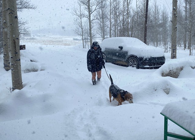 Garth had some stomach issues and had to go out a lot that night/morning. Kari still, could not be bothered to put on pants.