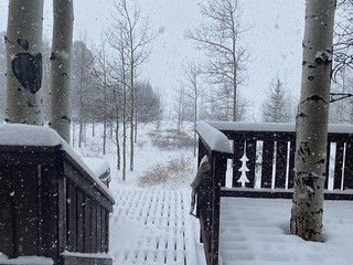 Covid-19 - A snowy morning