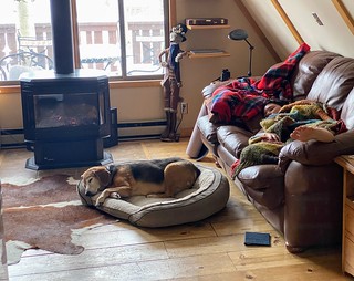 Covid-19 - Afternoon snoozes