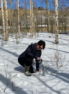 Covid-19 - Stuck in the snow