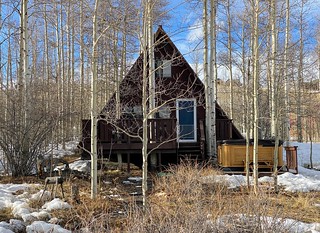 Covid-19 - Back yard