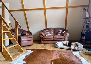 Covid-19 - A-frame chillin