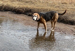 Covid-19 - Weird boy