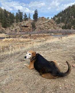 Covid-19 - Lookin back at it